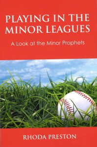 playing in the minor leagues cover